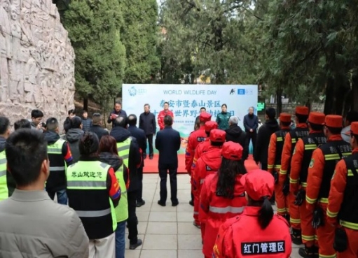 守护泰山生灵 共筑生态家园——...