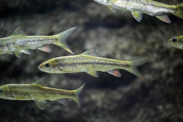 微信图片_20240727113038 微信图片_20240727113038