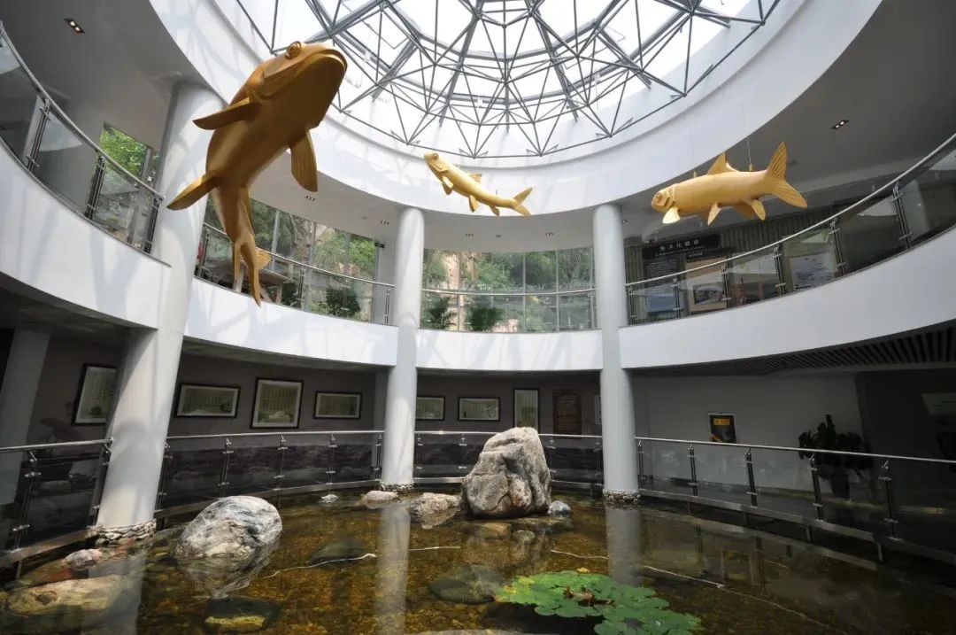 微信图片_20240727113050 微信图片_20240727113050