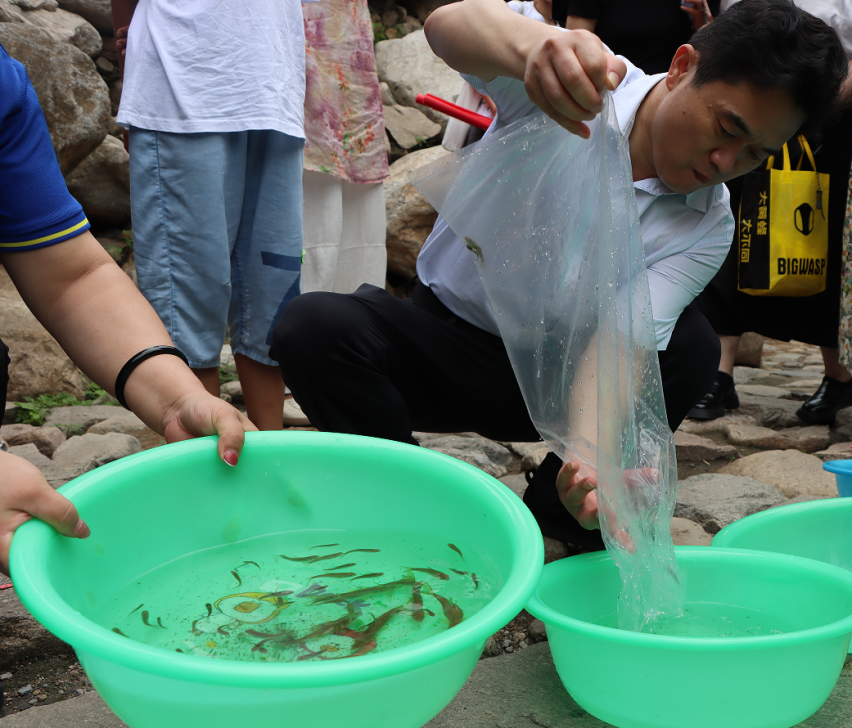 微信图片_20240727113123 微信图片_20240727113123